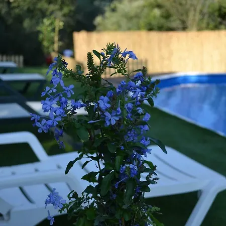 Casa Grazia Holiday home *