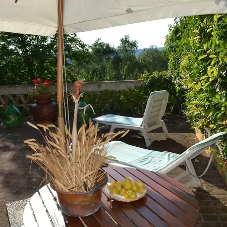 Holiday home Casa Grazia Montespertoli